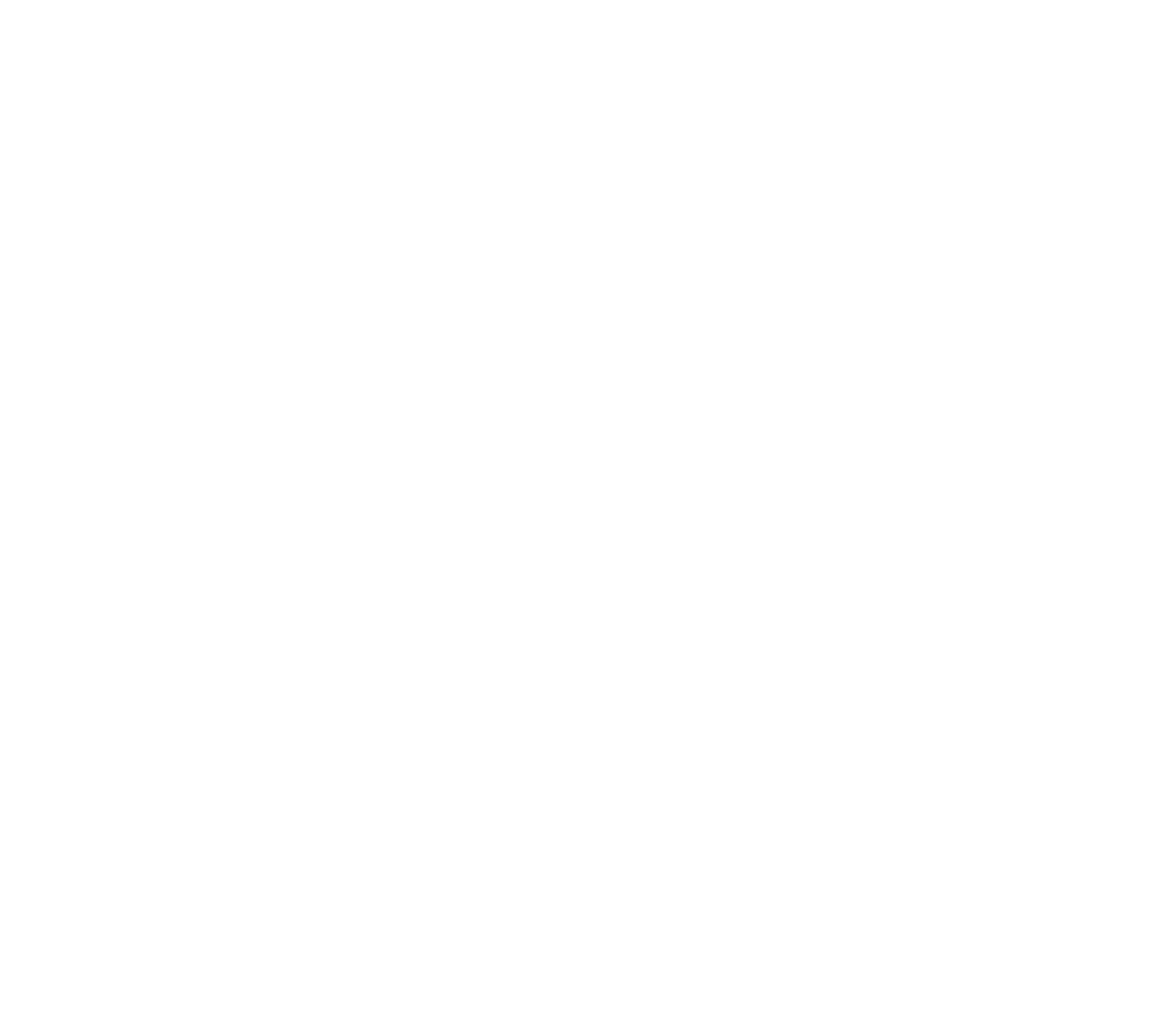 RDS - Logo Icon R 2026_White