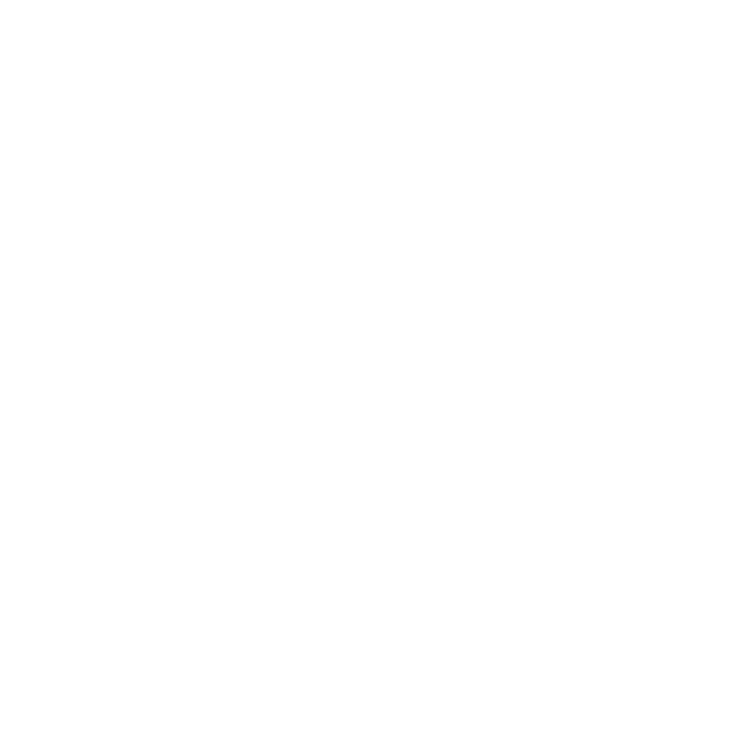 RDS - Logo Icon R 2026_White